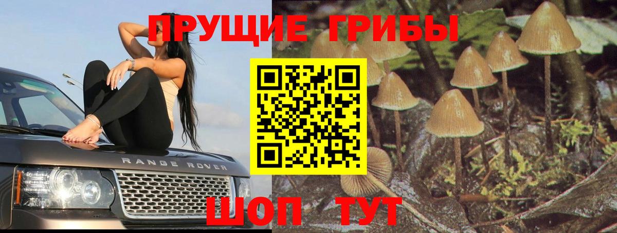 Галлюциногенные грибы мухоморы Заинск